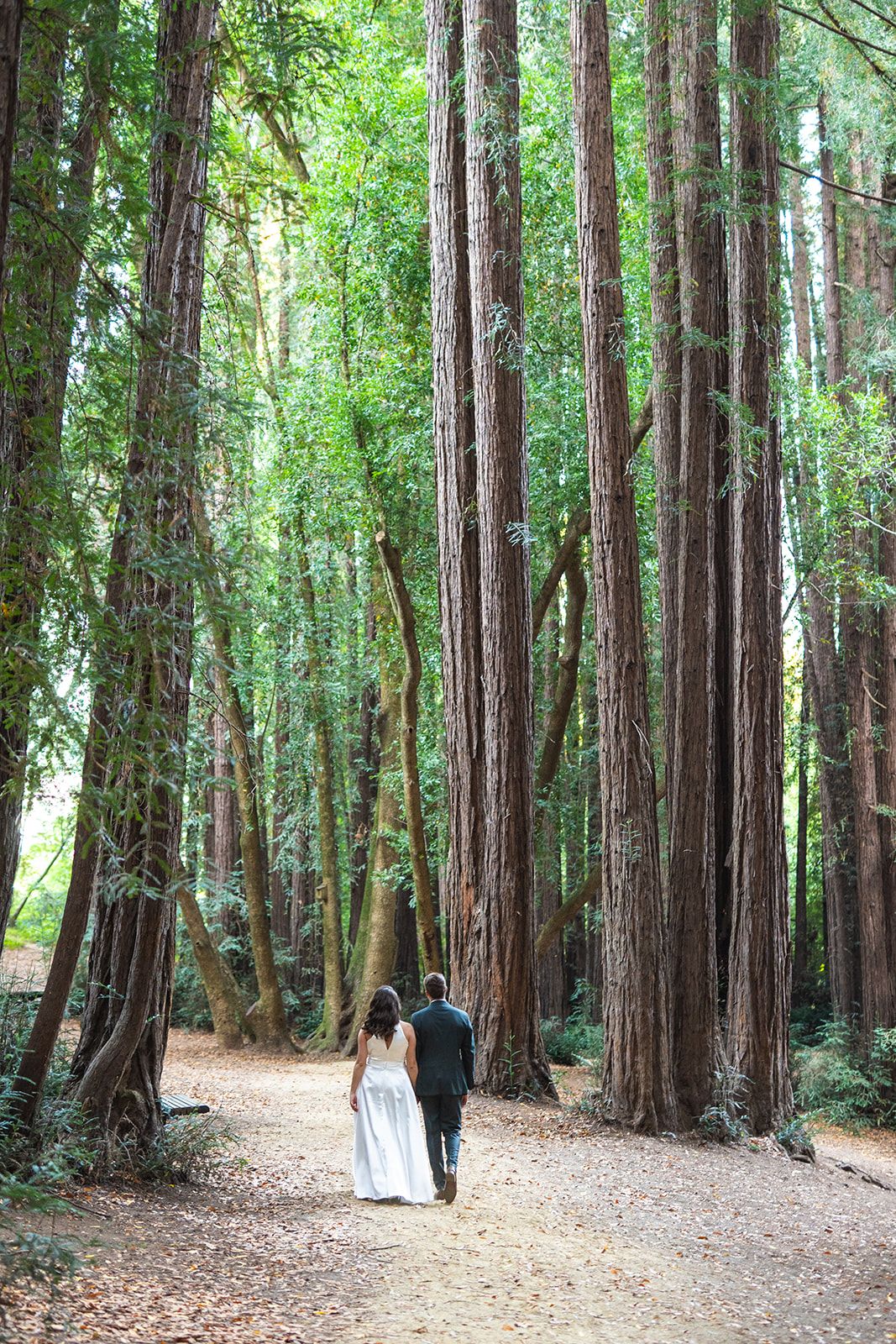 redwoods elopement at old mill park, mill valley, Dinner, Cake, and a First Dance