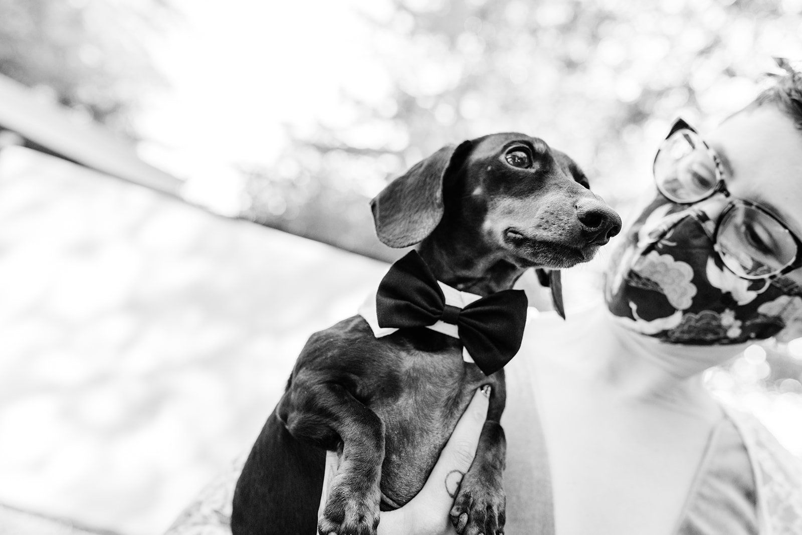 oakland backyard micro wedding, Portraits in the Park