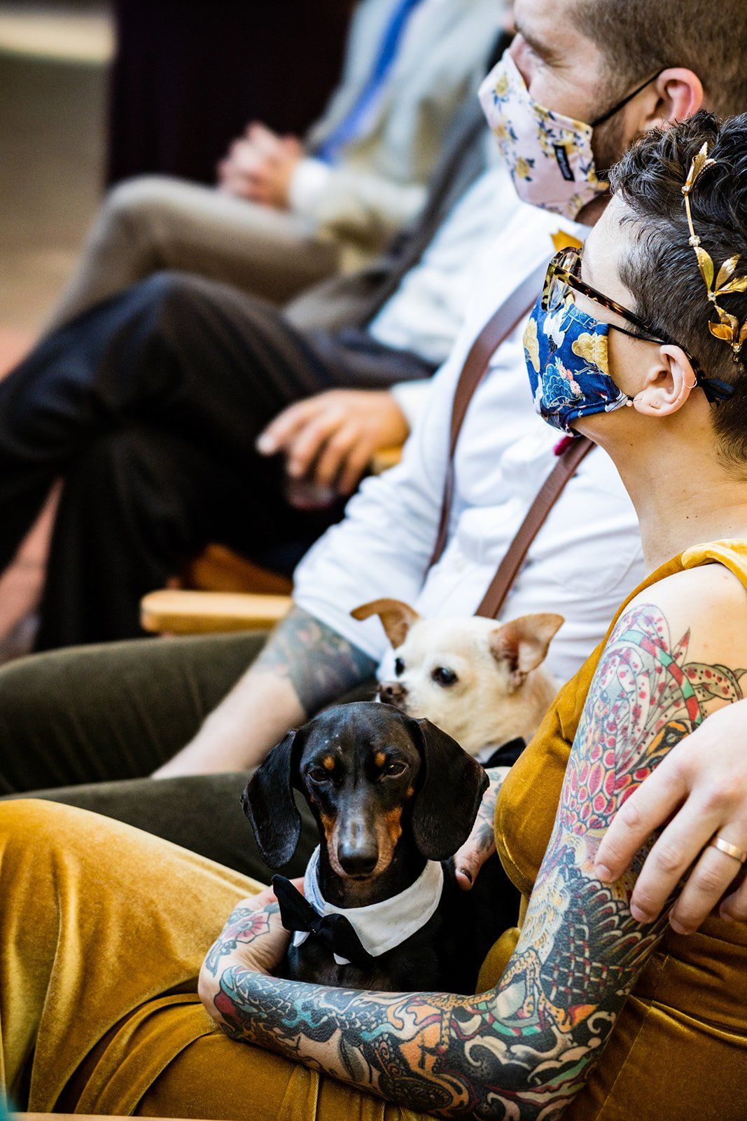 oakland backyard micro wedding, The Intimate Oakland Ceremony in the Backyard