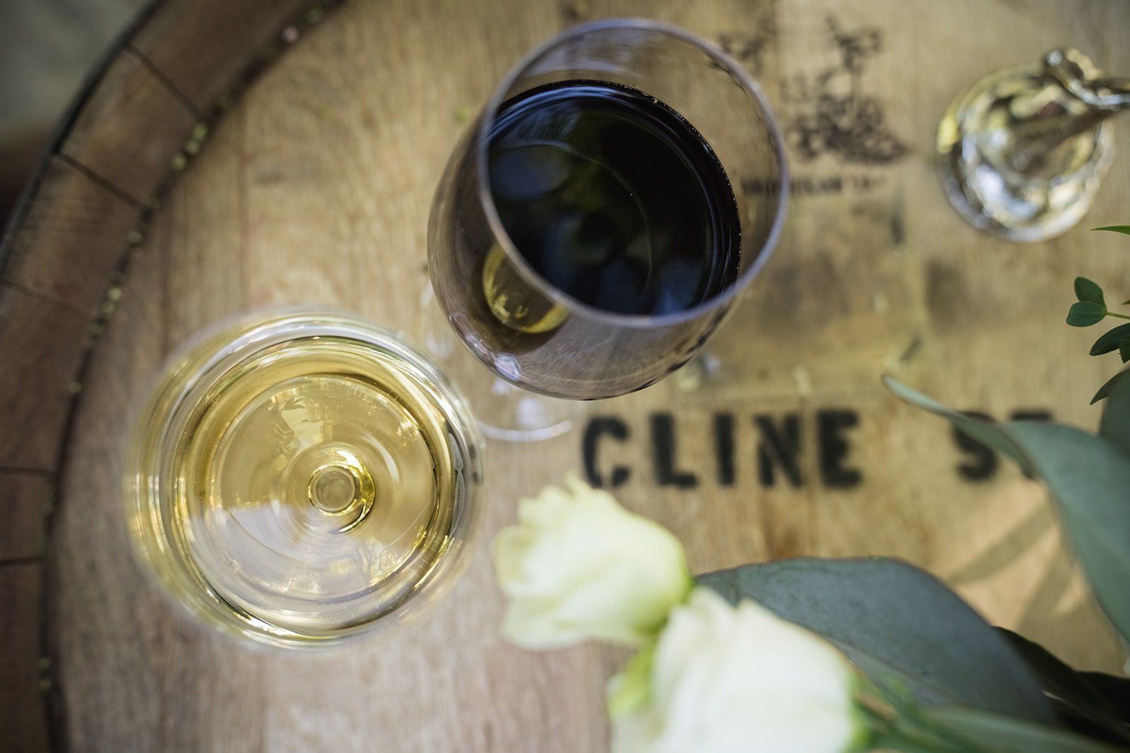 destination vineyard minimony planned from iowa, Dinner at Cline Family Cellars
