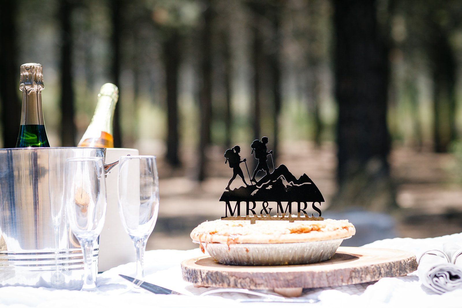 filipino-american micro wedding in the sequoias, Dinner in the Sequoias After the Filipino-American Ceremony