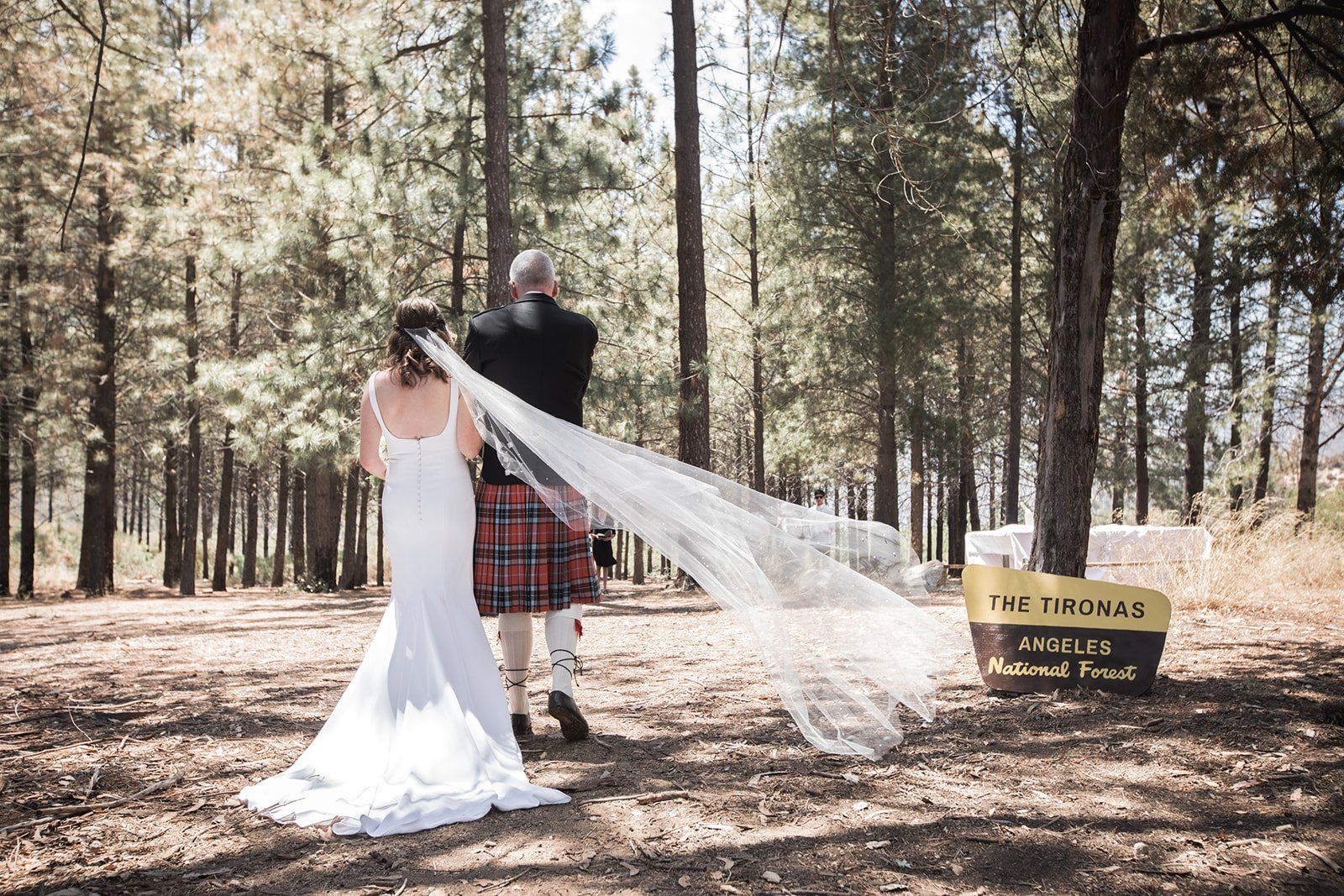 filipino-american micro wedding in the sequoias, Portraits Among the Sequoias