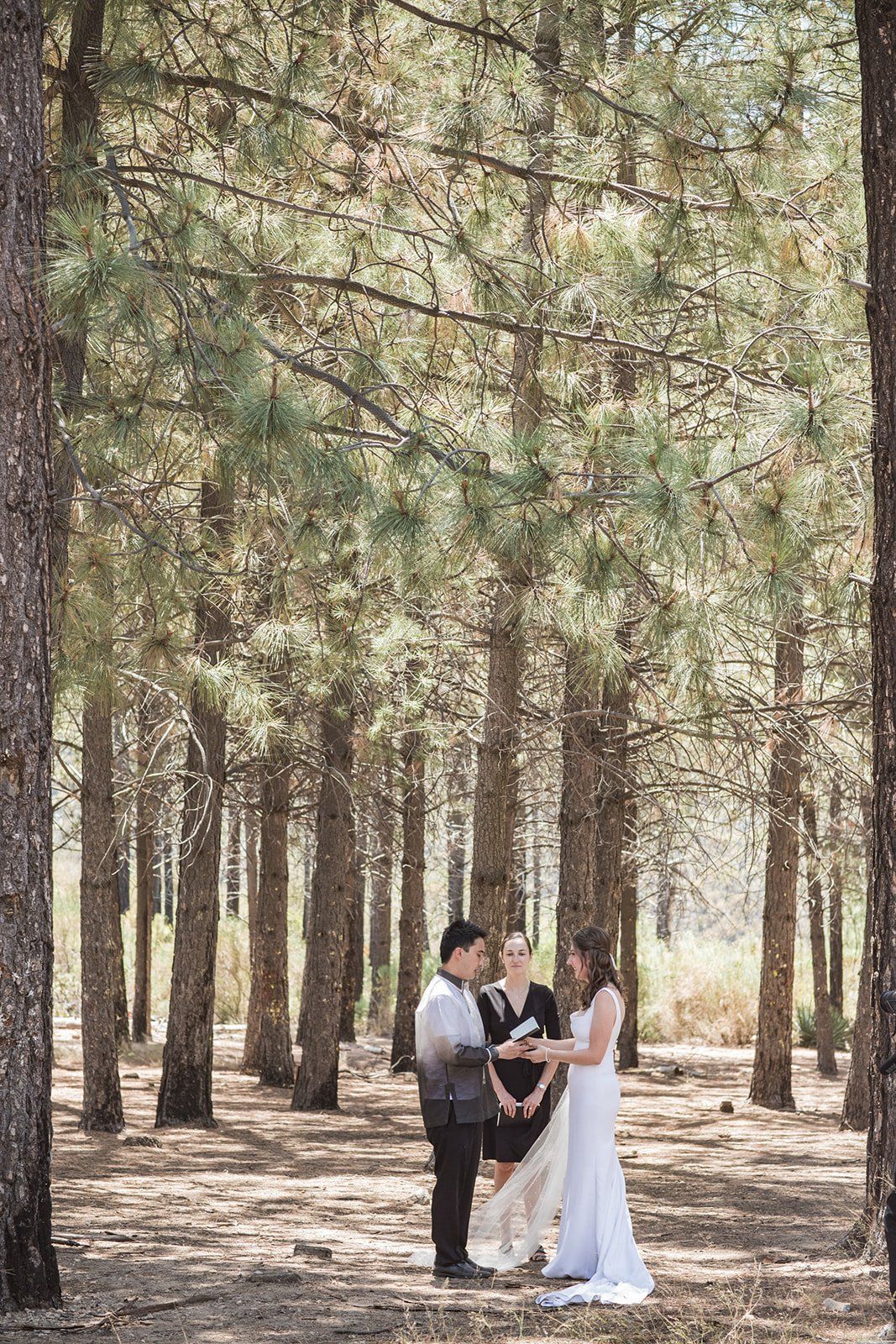 filipino-american micro wedding in the sequoias, A 6-Guest Mountain Ceremony Under the Tall Trees
