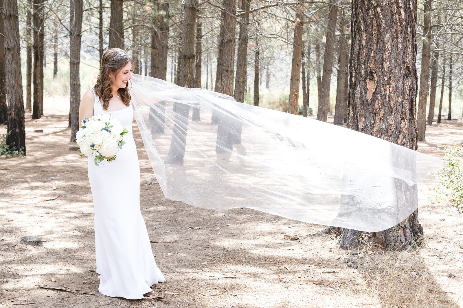 angeles national forest, Portraits in the San Gabriel Mountains