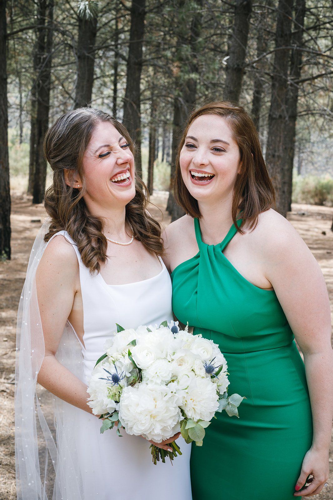 filipino-american micro wedding in the sequoias, Portraits Among the Sequoias