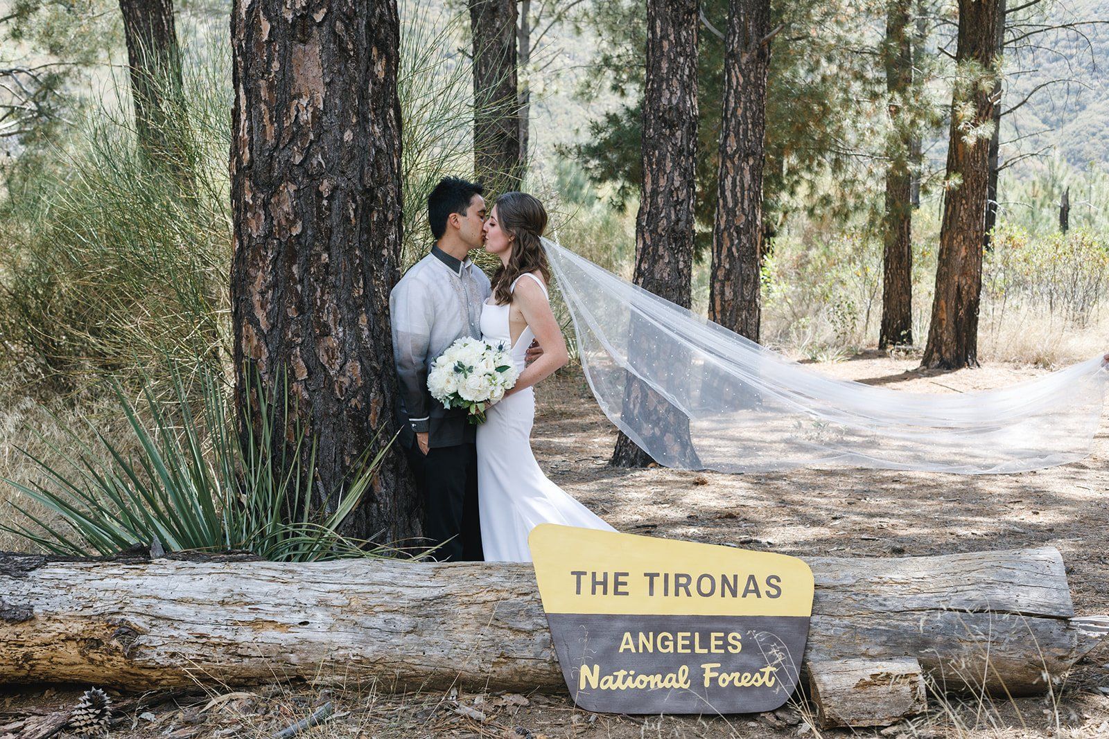 filipino-american micro wedding in the sequoias, Portraits Among the Sequoias