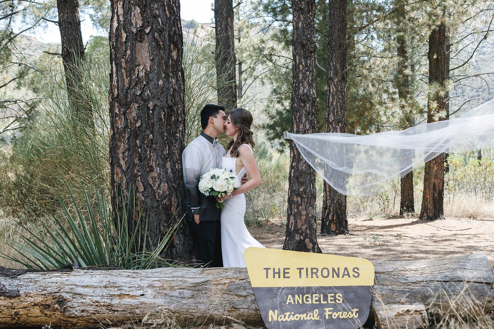 angeles national forest, Portraits in the San Gabriel Mountains