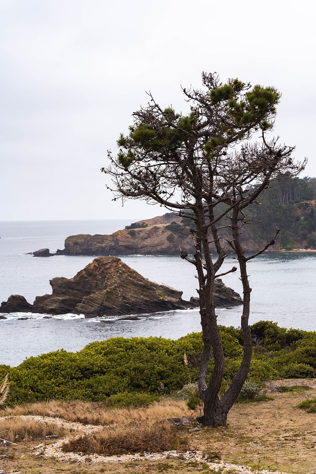 two-person elopement at wander anchor bay, Portraits on the Anchor Bay Coast