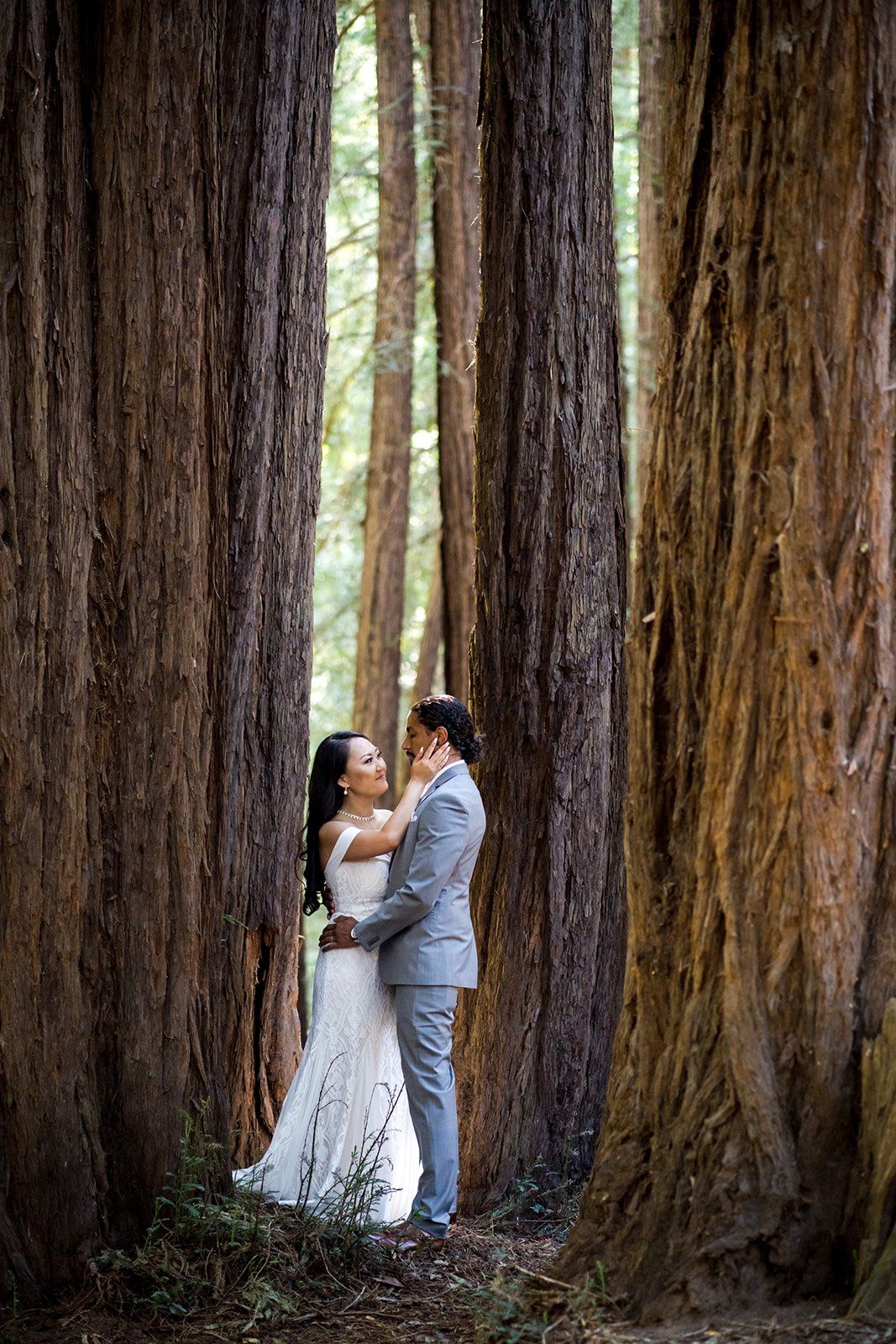same-sex redwoods micro wedding east bay, Family Photos Under the Old Mill Park Redwoods