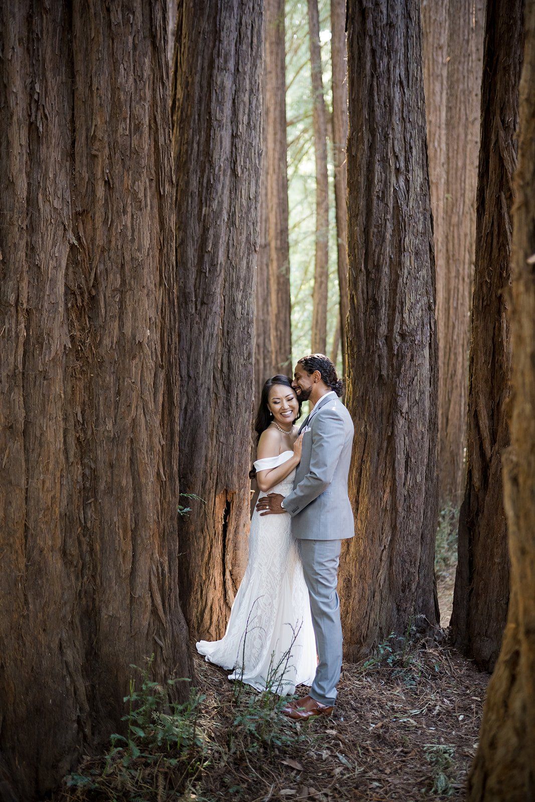 redwoods micro wedding at old mill park, Portraits Under the Old Mill Park Redwoods