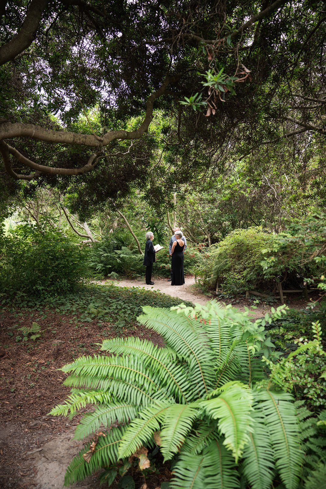 second wedding elopement mendocino botanical gardens, Married in the Woods at the Mendocino Botanical Gardens