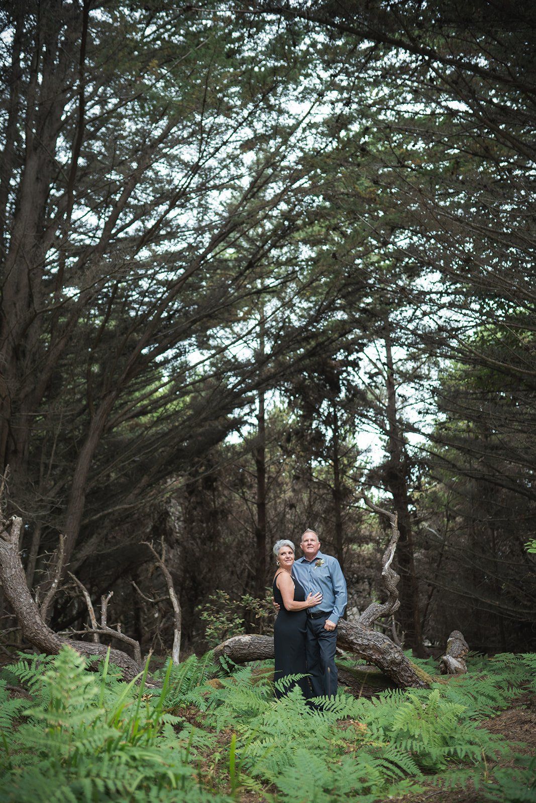 second wedding elopement mendocino botanical gardens, A Toast, a First Dance, and the Dahlias in Full Bloom