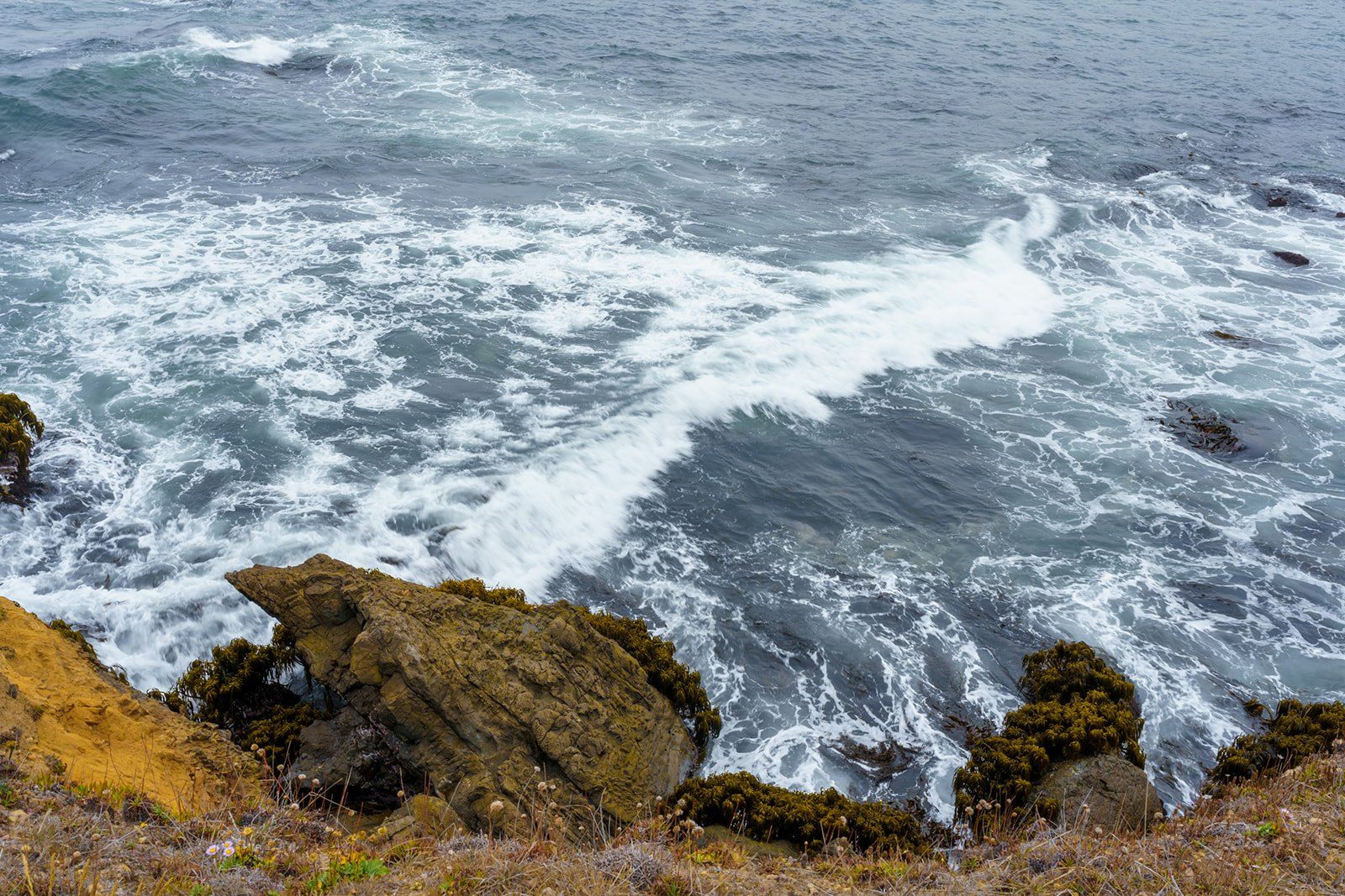 second-wedding elopement at the mendocino coast botanical gardens, Off to Dinner, Just the Two of Them