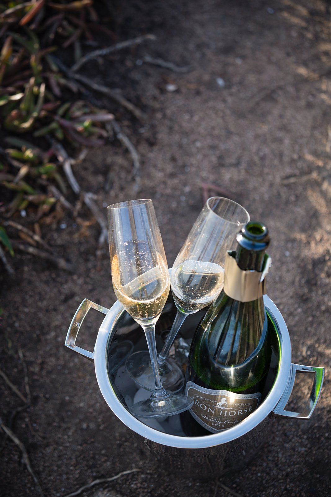 big sur cliffside elopement for just the two of them, The Coast, the Light, and the Two of Them