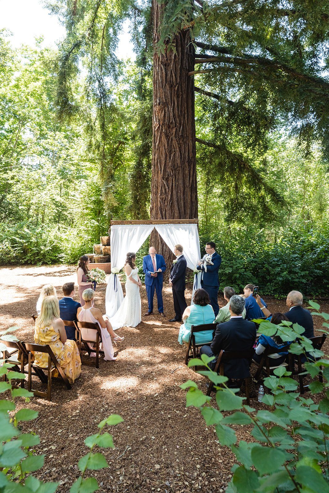 minimony at sand rock farm (12 guests), A Sand Rock Farm Minimony Under the Trees