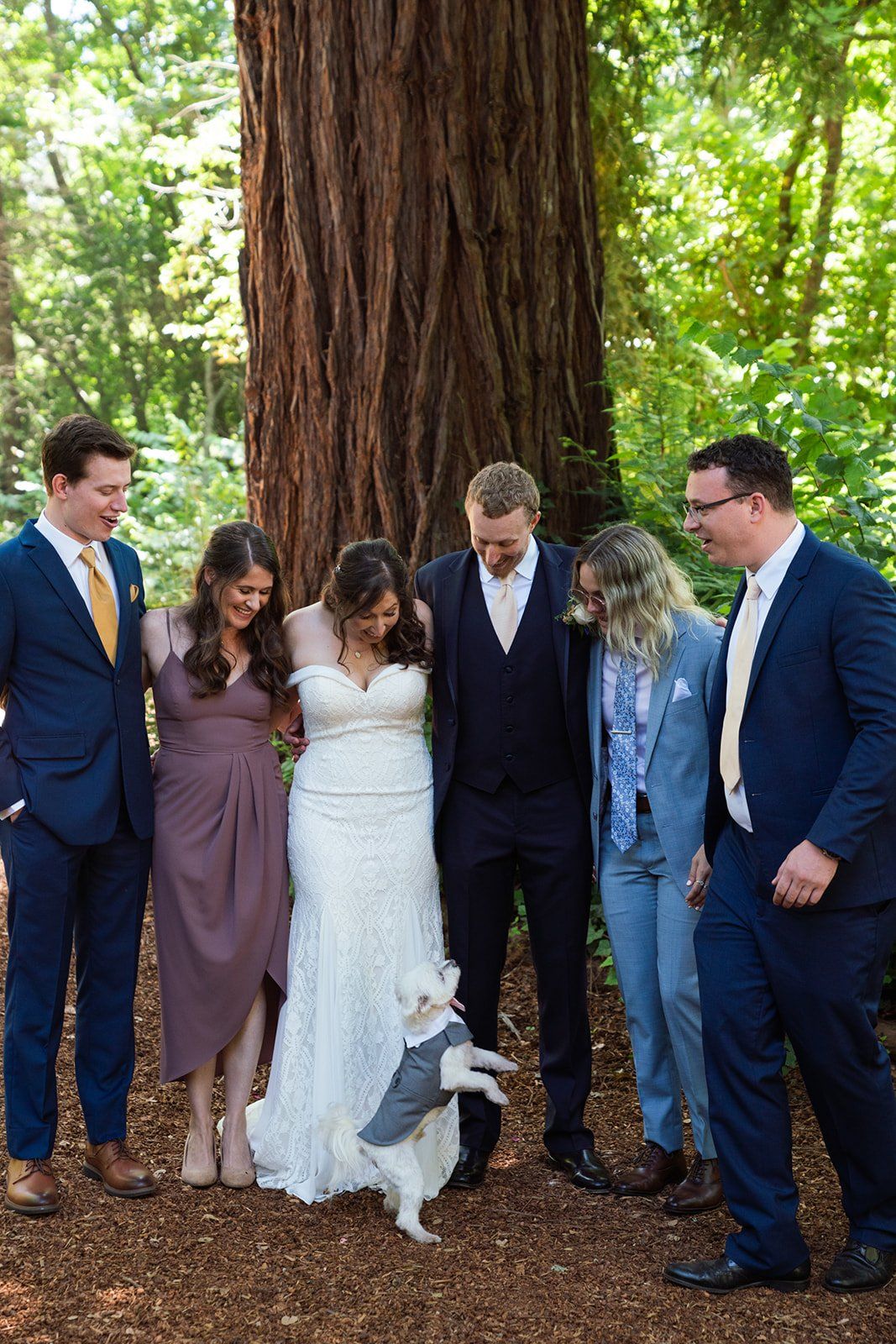 minimony at sand rock farm (12 guests), Portraits Across a Historic Aptos Estate