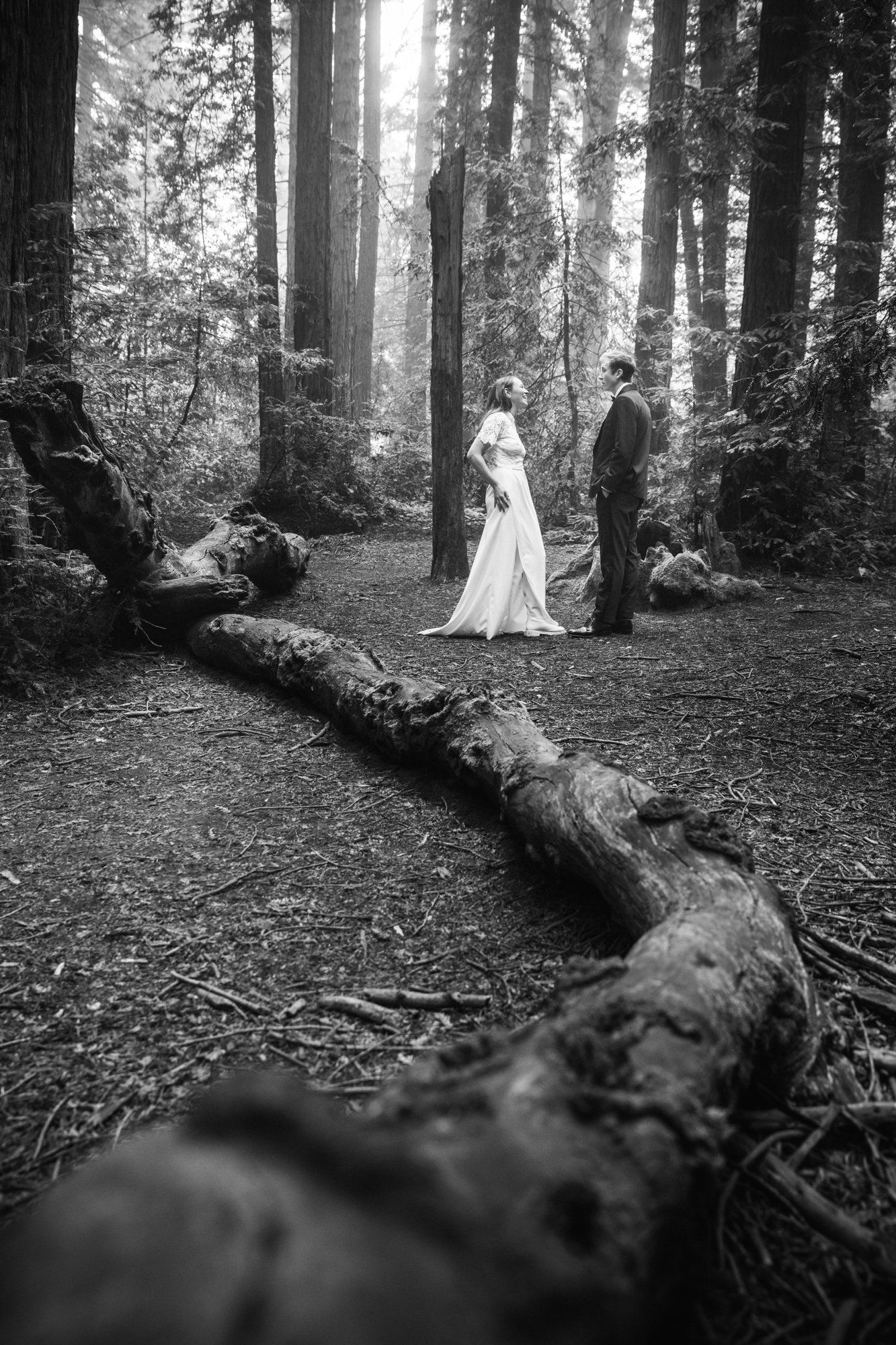 Joaquin Miller Park redwoods wedding, Everyone They Brought Up the Hill
