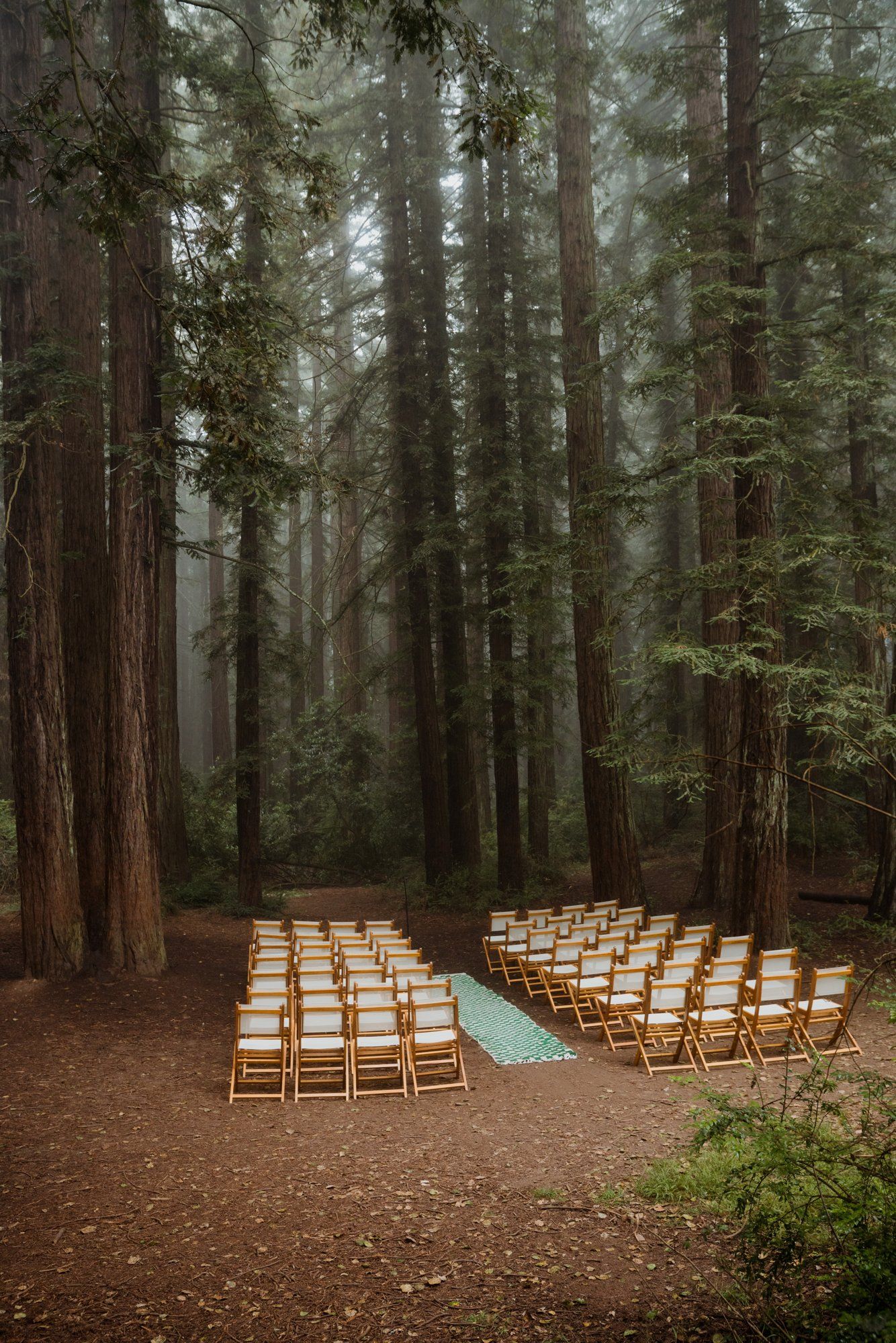 joaquin miller park redwoods wedding, Married in the Trees at this Joaquin Miller Park Redwoods Wedding