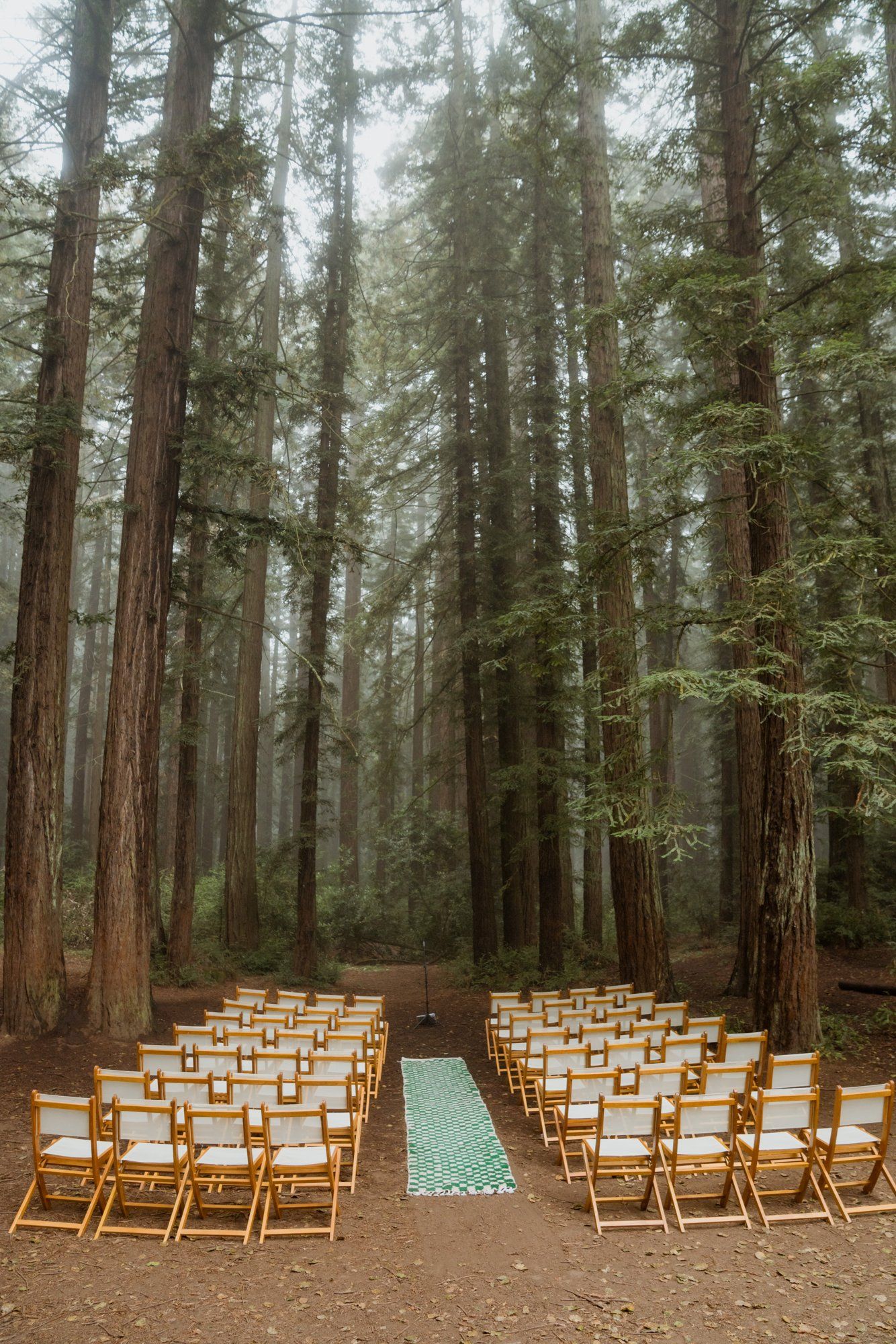 joaquin miller park redwoods wedding, Married in the Trees at this Joaquin Miller Park Redwoods Wedding