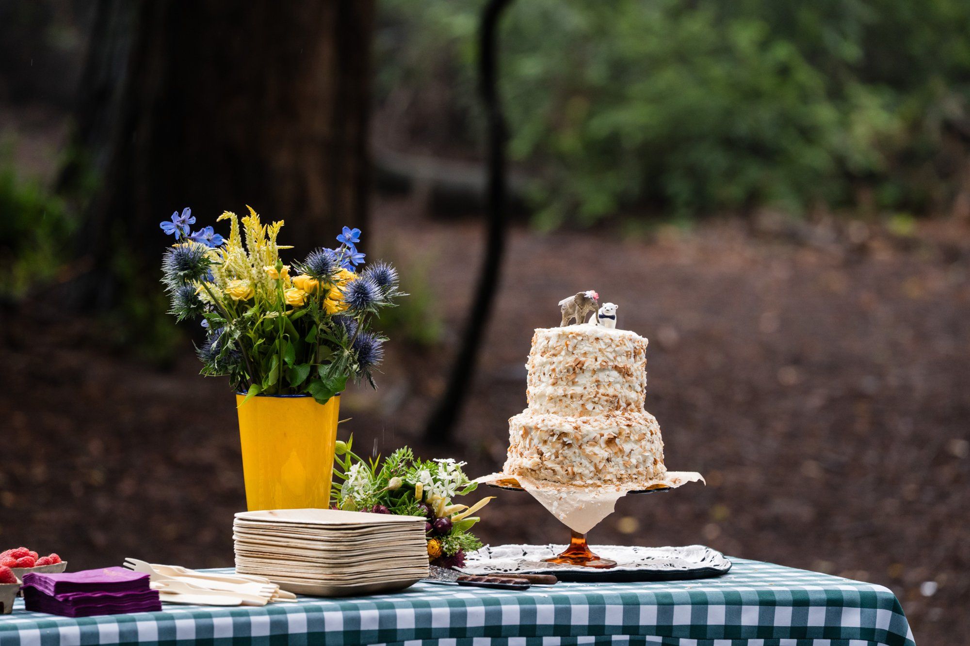 joaquin miller park redwoods wedding, Cake in the Grove, Then a Camping Trip