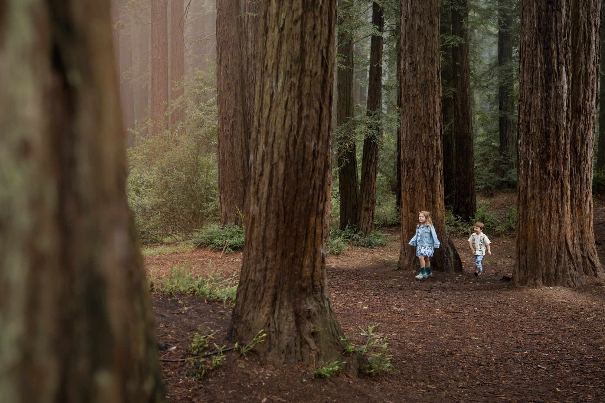 joaquin miller park redwoods wedding, Everyone They Brought Up the Hill