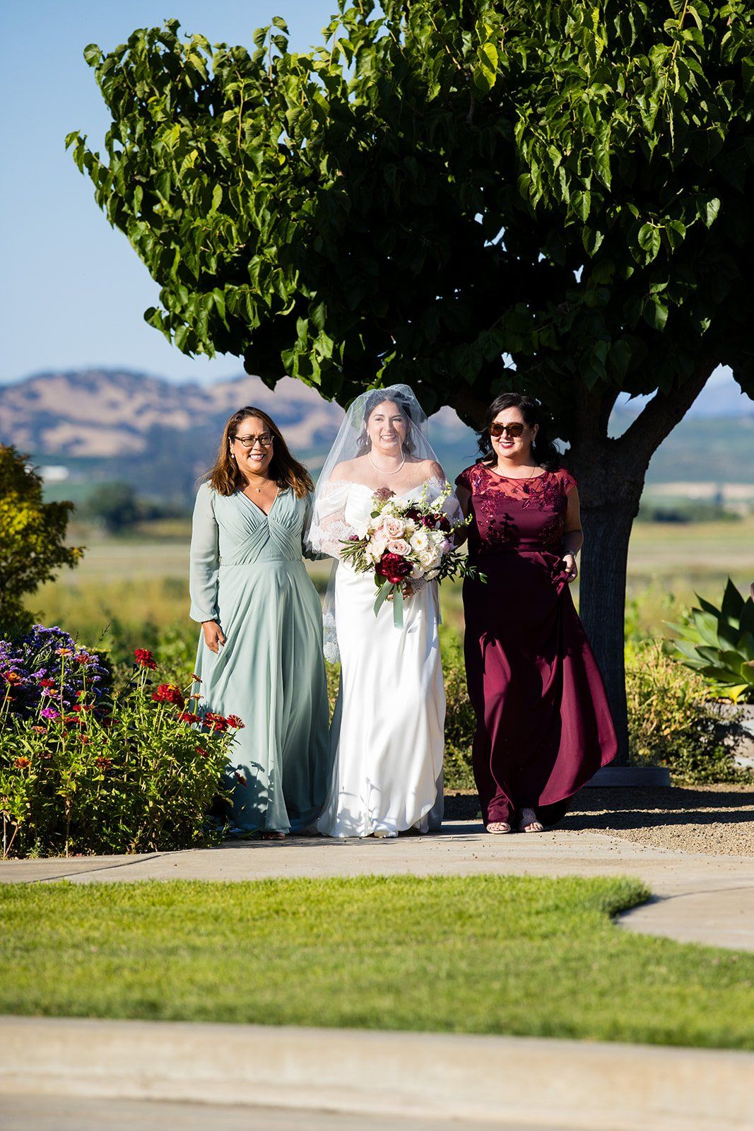 summer vineyard wedding at jacuzzi family vineyards, sonoma, Portraits Among the Vines