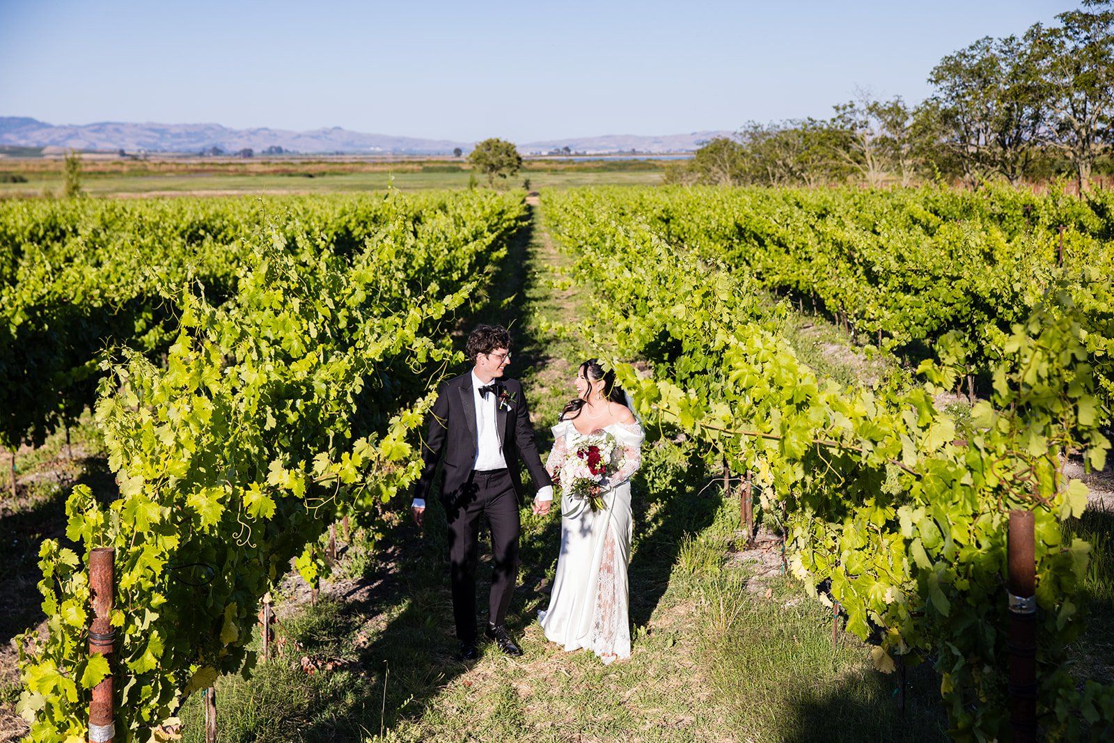 summer vineyard wedding at jacuzzi family vineyards, sonoma, Portraits Among the Vines