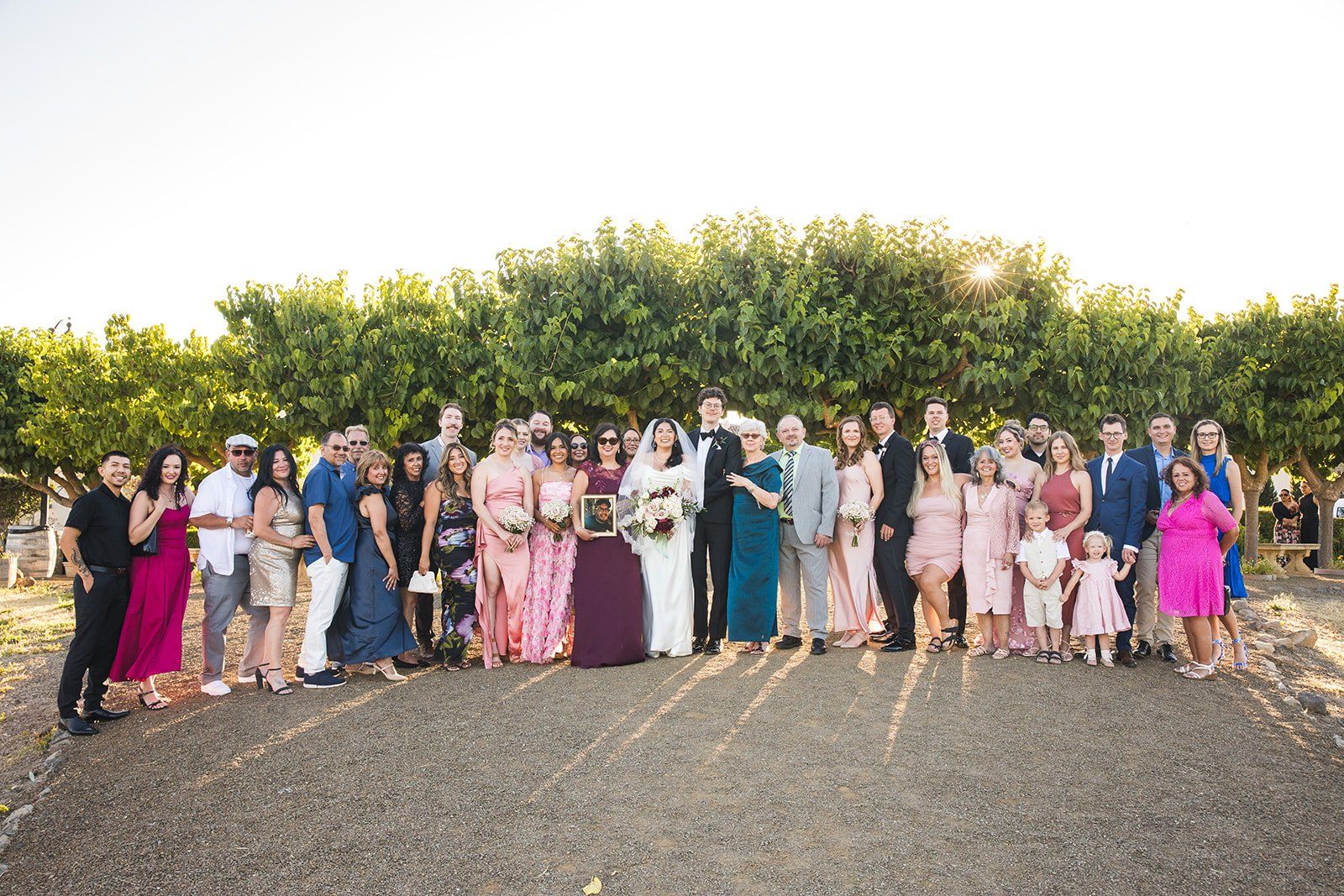 summer vineyard wedding at jacuzzi family vineyards, sonoma, Portraits Among the Vines