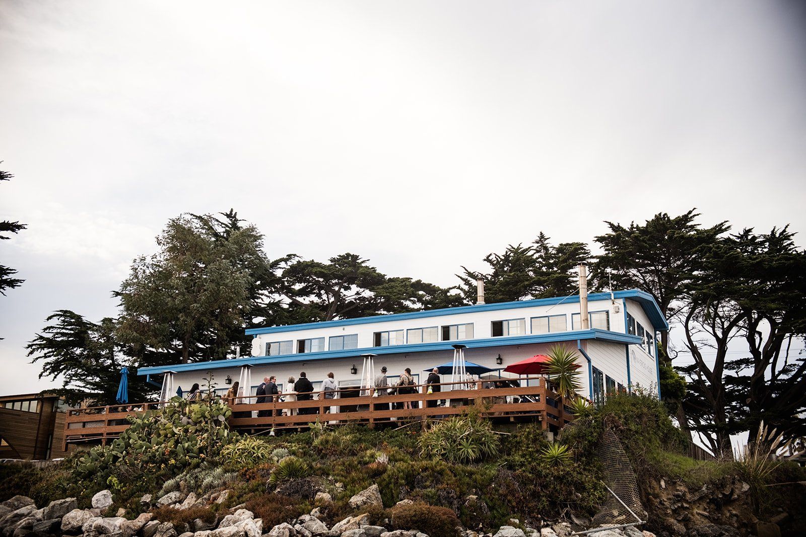 largest micro wedding at mavericks house, Dinner, Open Speeches, and Dancing