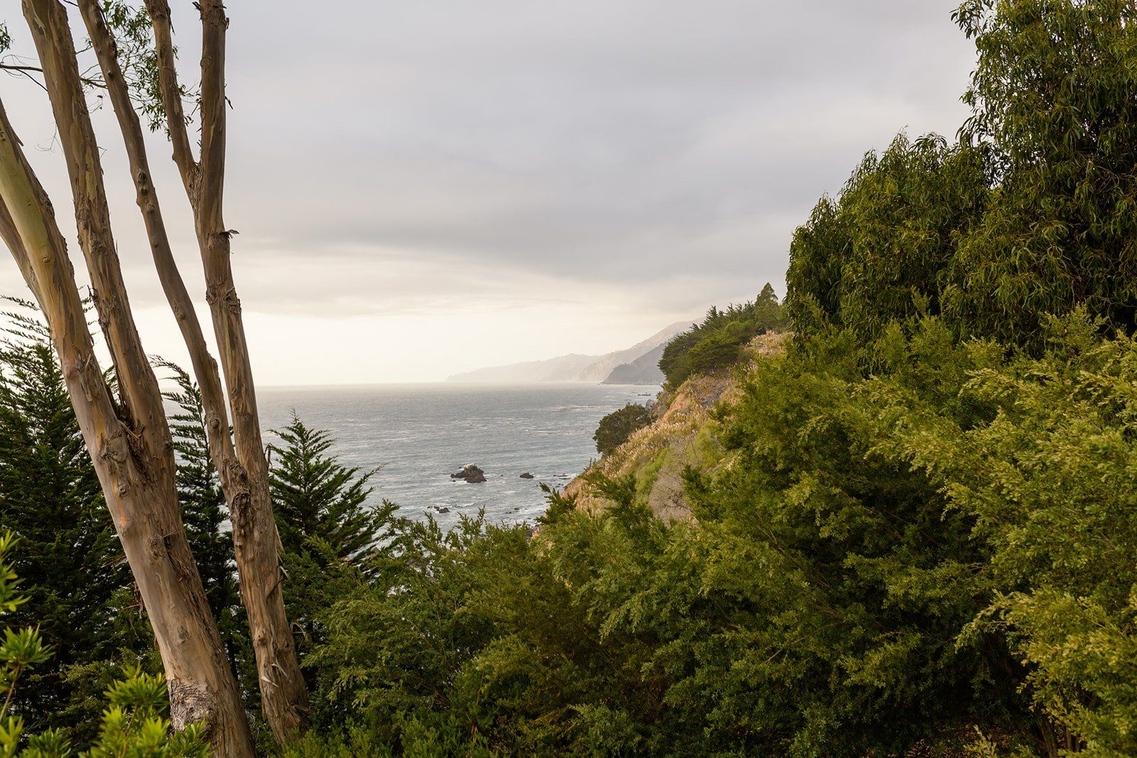 cliffside estate wedding at Wind and Sea Big Sur, Dinner and Dancing at the Wind and Sea Estate