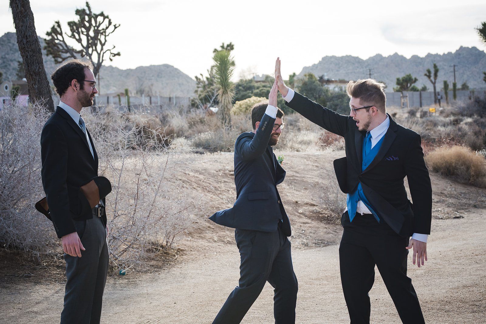 livestreamed joshua tree minimony, Desert Portraits After the Streamed Ceremony