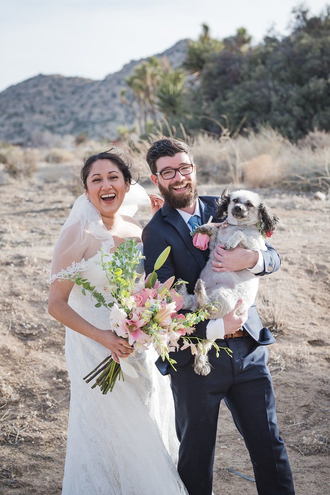 livestreamed joshua tree minimony, Desert Portraits Across the Joshua Tree Landscape