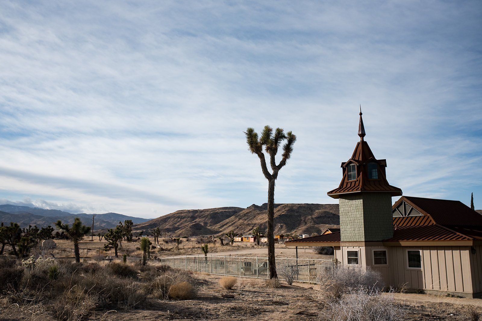 livestreamed joshua tree minimony, A Streamed Ceremony Out in the Joshua Tree Desert