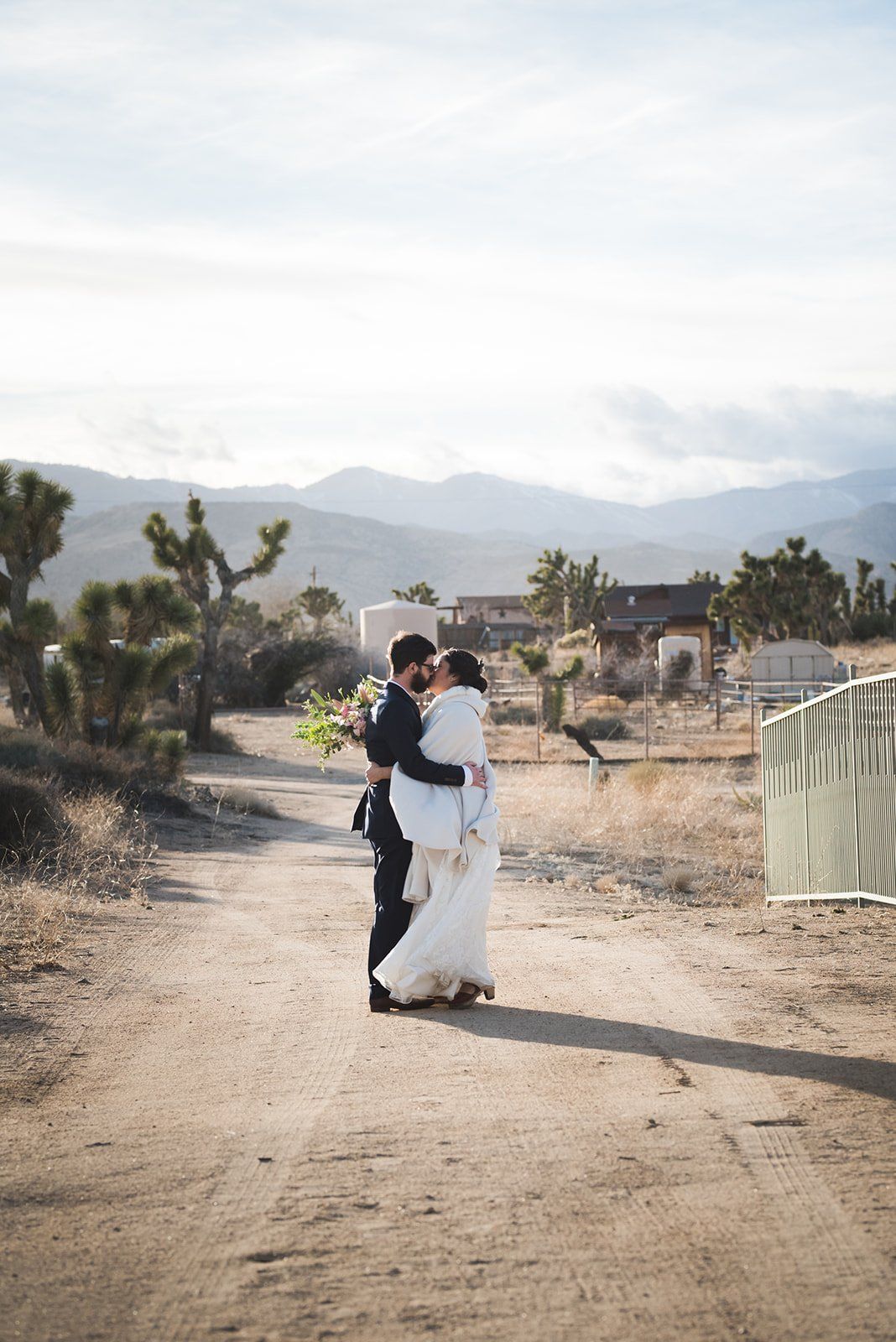 livestreamed joshua tree minimony, Desert Portraits Across the Joshua Tree Landscape