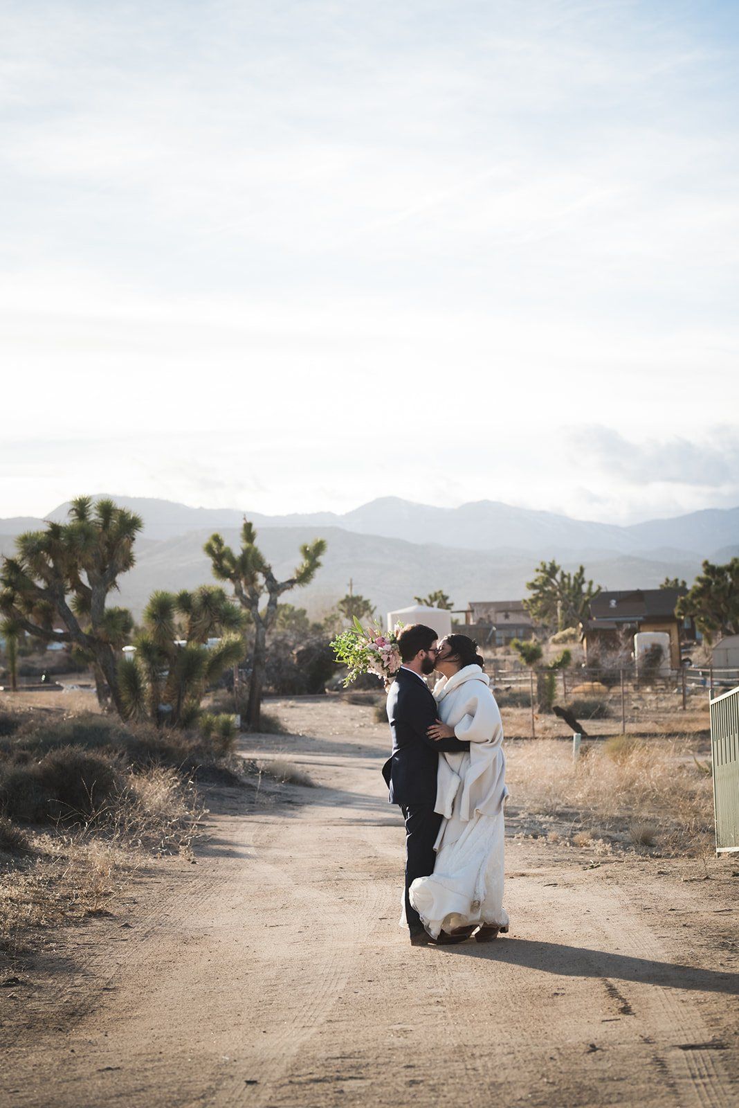 livestreamed joshua tree minimony, Desert Portraits After the Streamed Ceremony