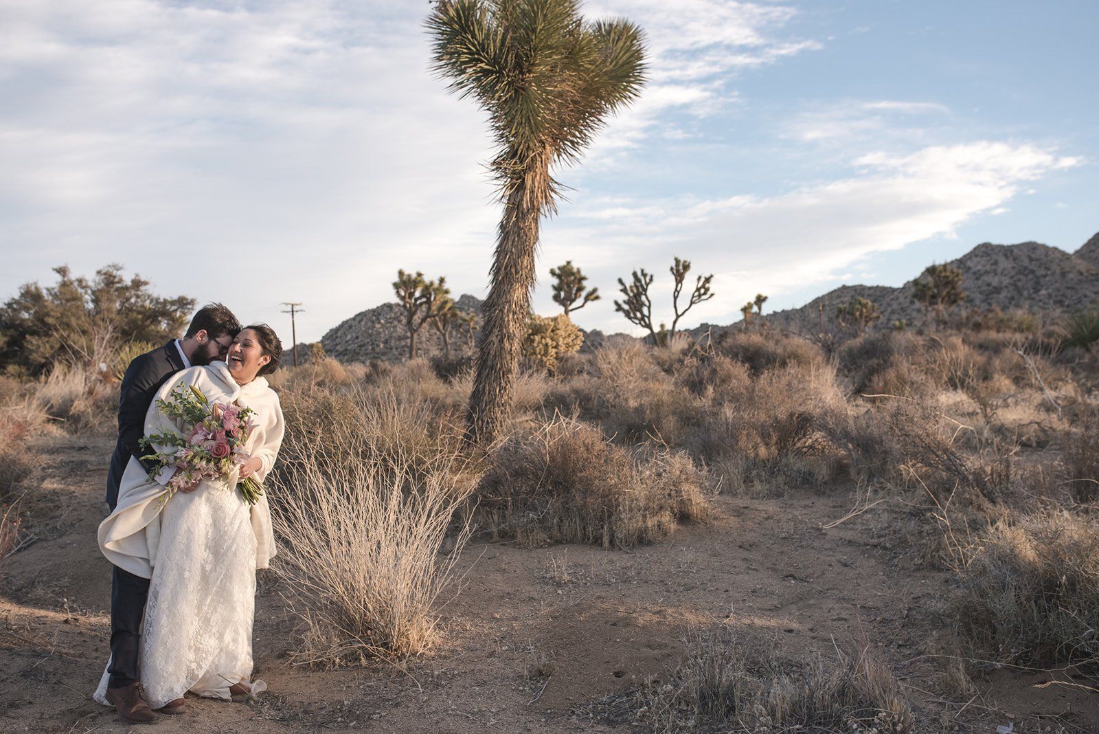 livestreamed joshua tree minimony, Desert Portraits Across the Joshua Tree Landscape