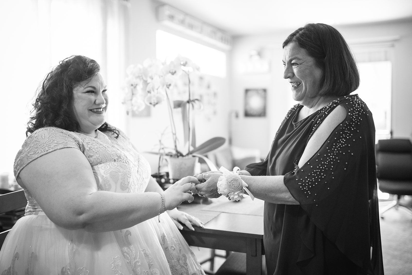 livestreamed vineyard wedding at gloria ferrer, A Vintage Arrival at the Sonoma Vineyard