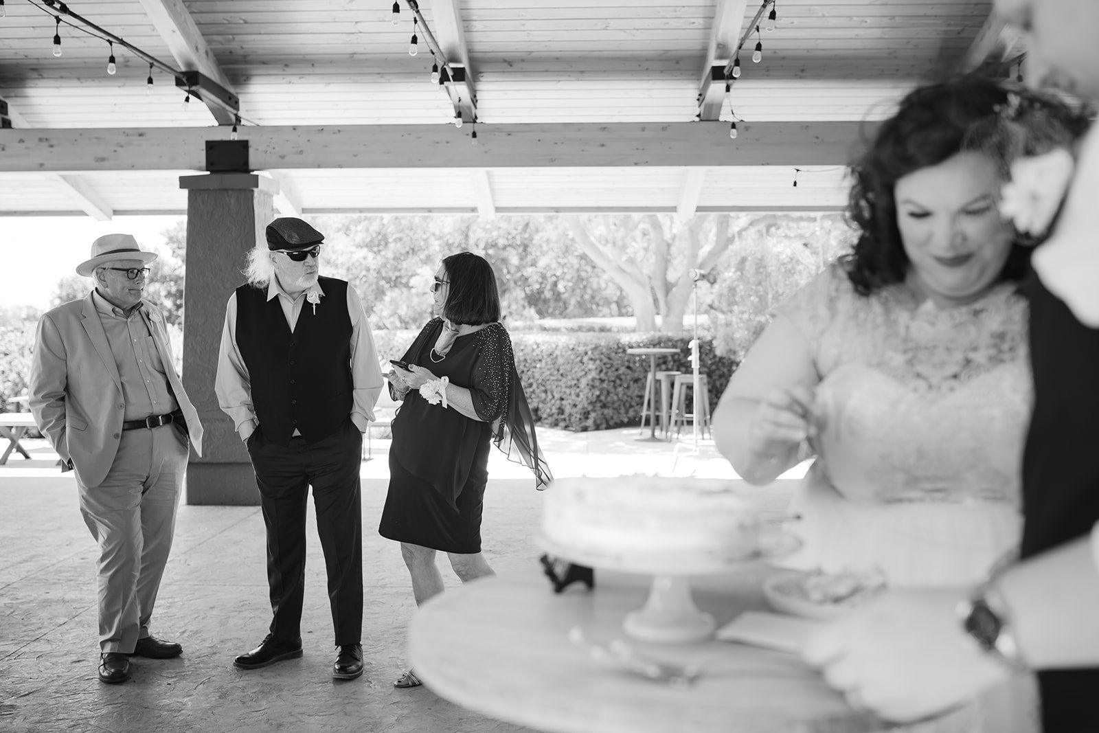 livestreamed vineyard wedding at gloria ferrer sonoma, Portraits Across the Winery. Postponed-Three-Times COVID Wedding