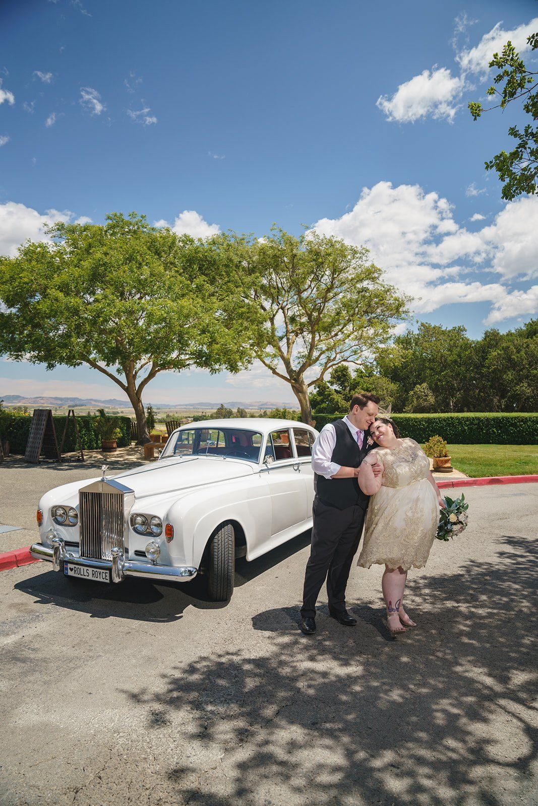 livestreamed vineyard wedding at gloria ferrer, Portraits Across the Winery, a Postponed-Three-Times Wedding