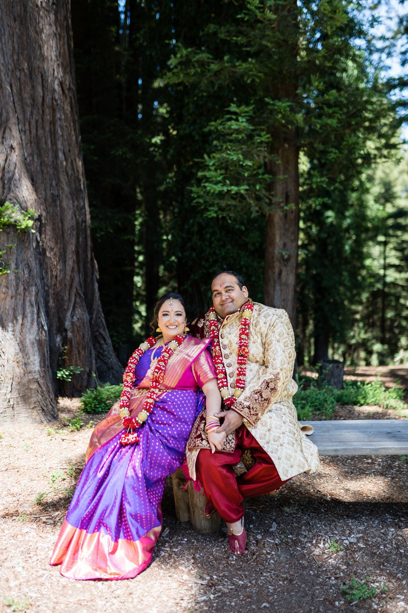 indian-american micro wedding in palo alto, Family Photos in the Redwoods