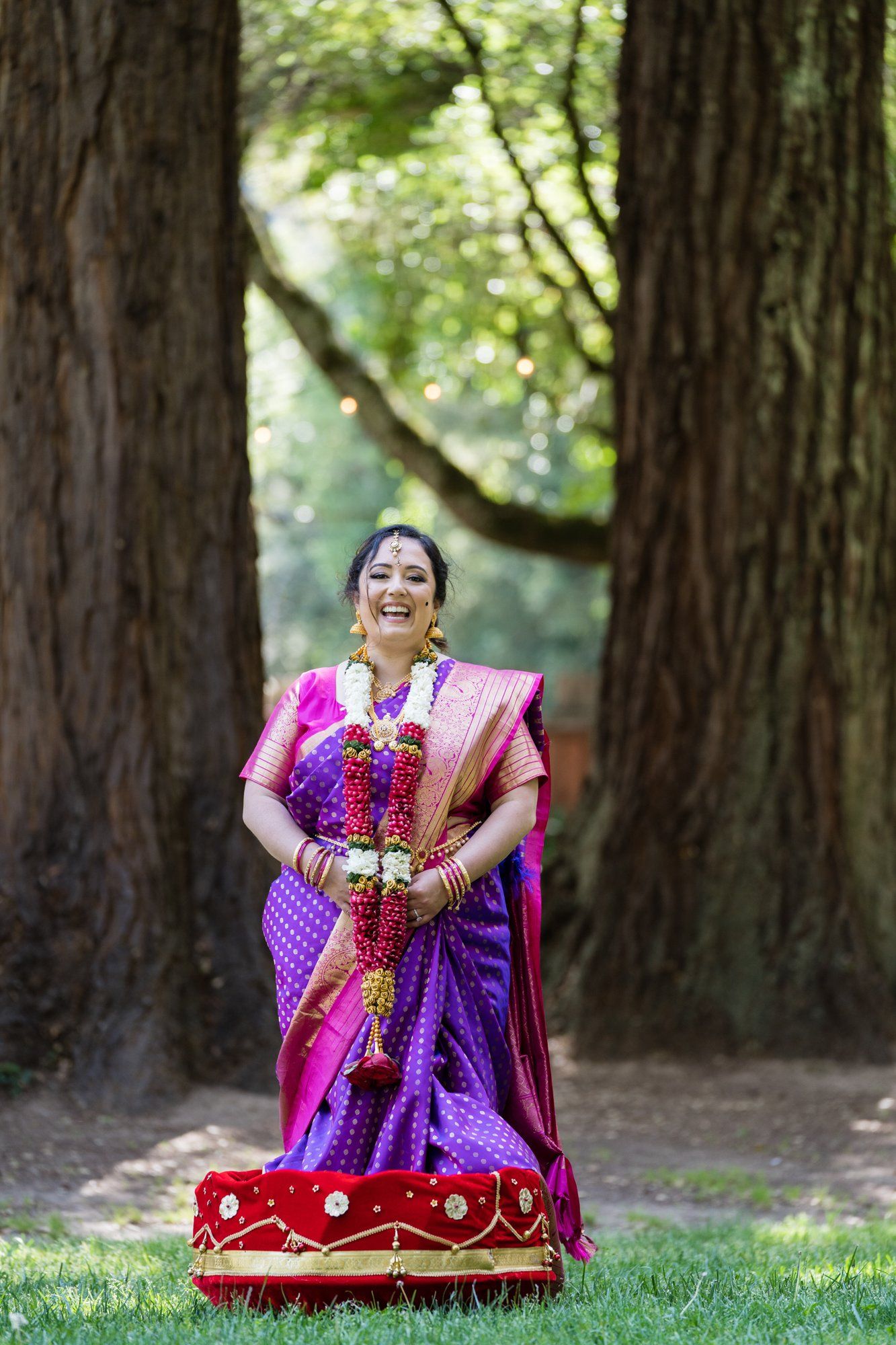 indian-american micro wedding palo alto, Family Photos in the Redwoods