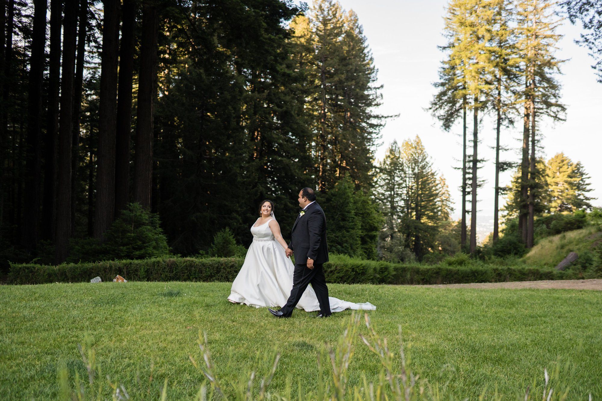 indian-american micro wedding in palo alto, Family Photos in the Redwoods