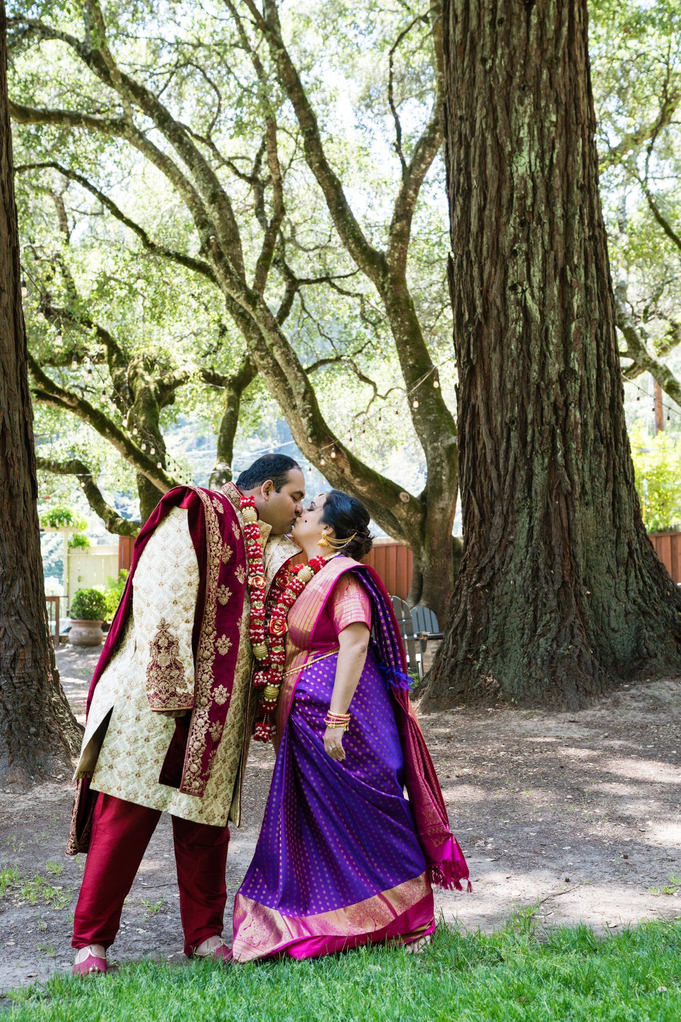 indian-american micro wedding in palo alto, Family Photos in the Redwoods