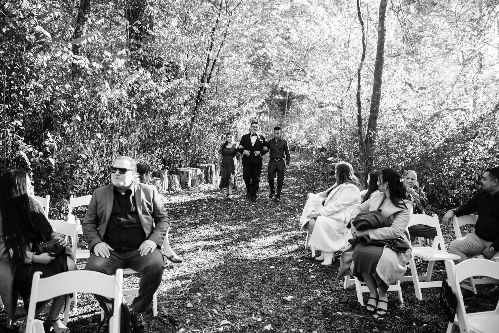 fall-foliage micro wedding at sand rock farm (november, 22 guests), A Harvest-Season Redwood Ceremony