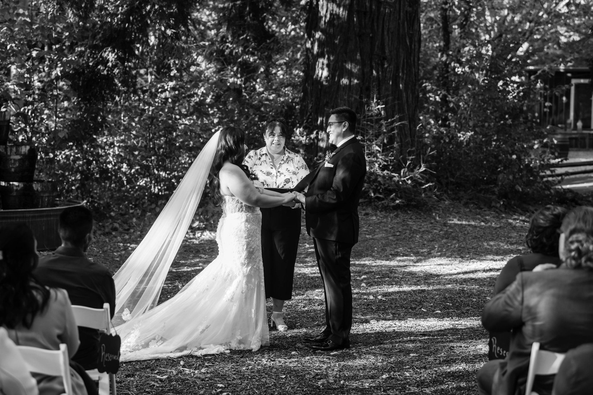 fall-foliage micro wedding at sand rock farm (november, 22 guests), A Harvest-Season Redwood Ceremony