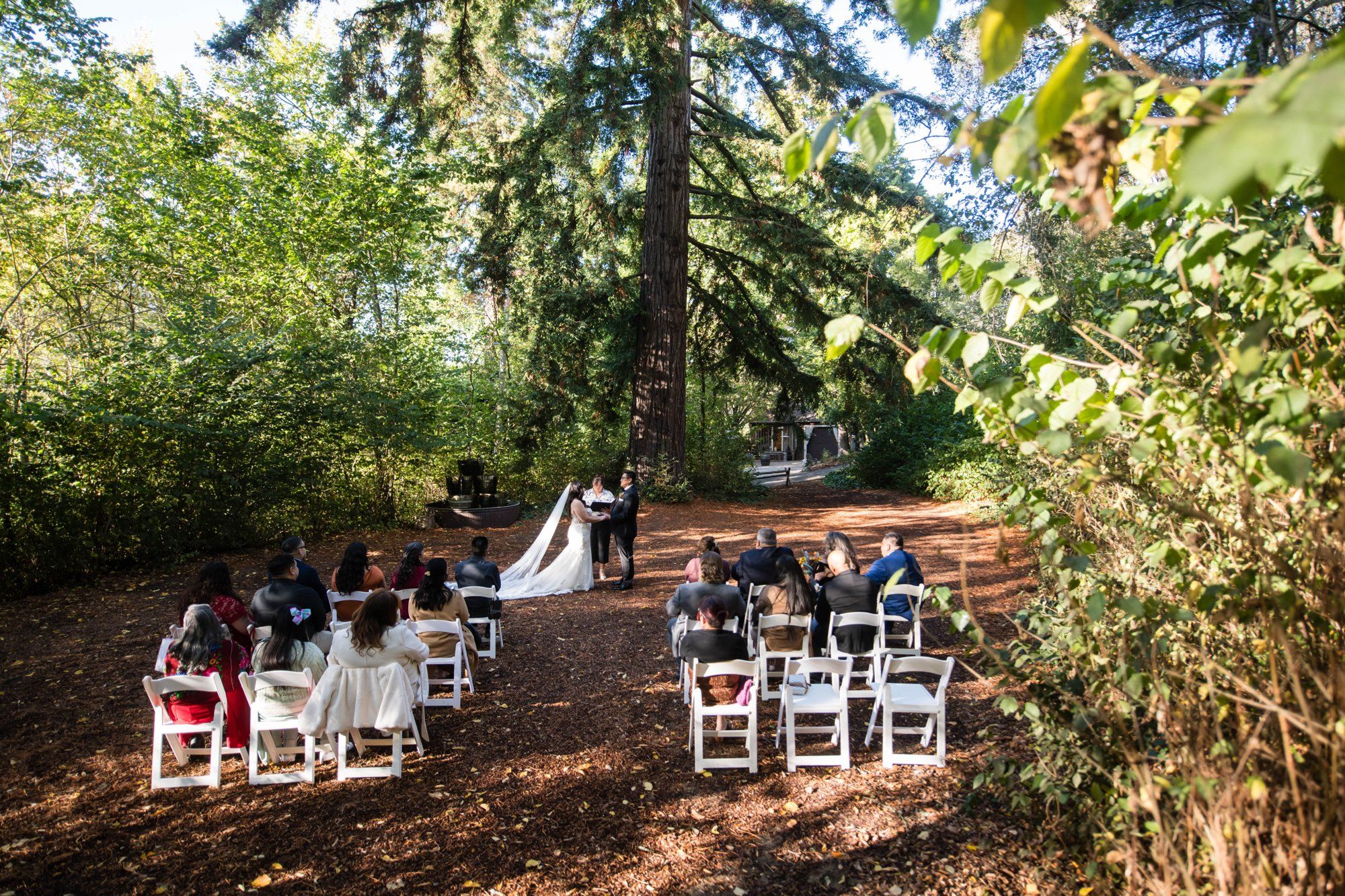 fall-foliage micro wedding at sand rock farm (november, 22 guests), A Harvest-Season Redwood Ceremony