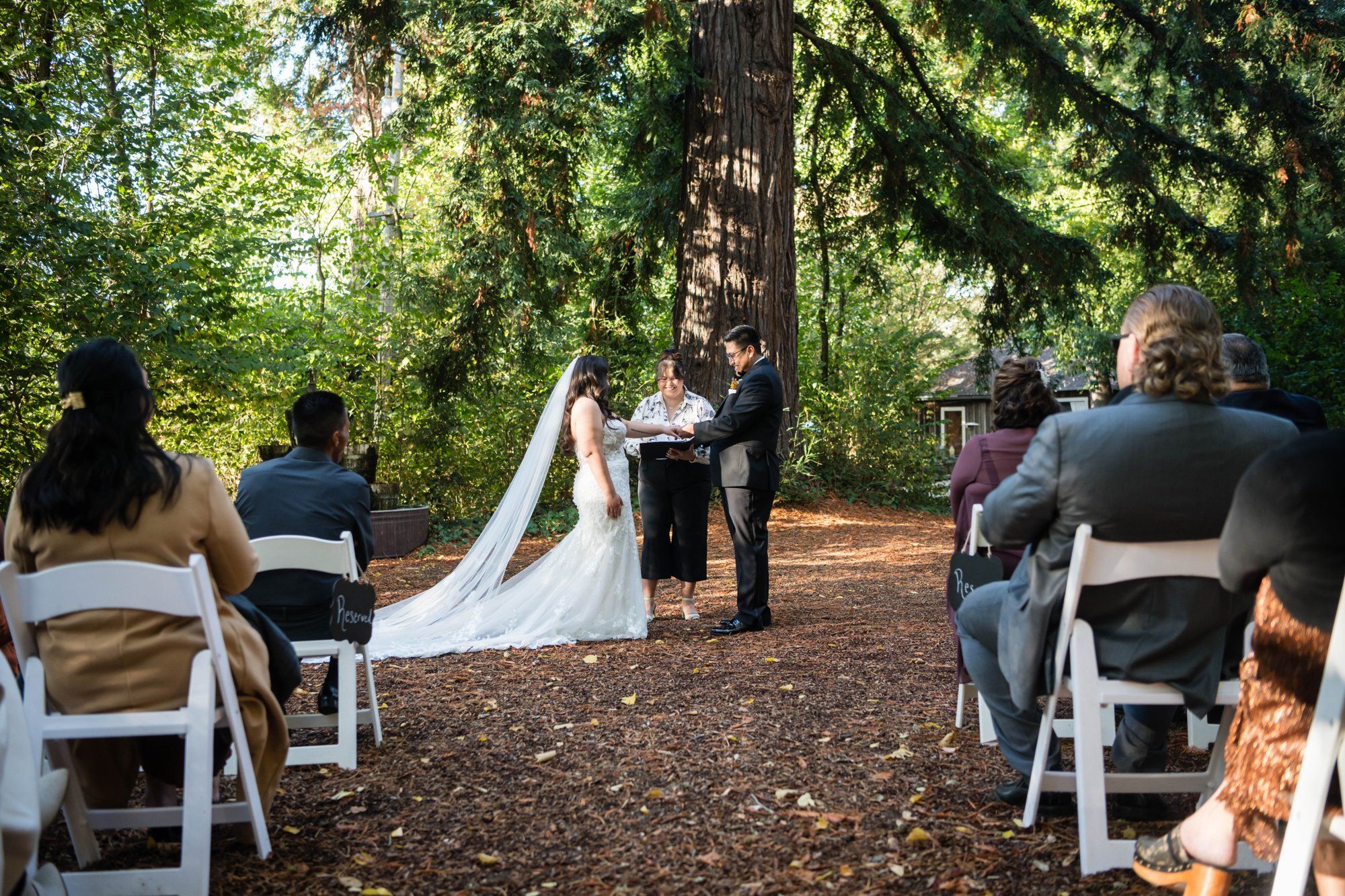 A fall-foliage micro wedding at Sand Rock Farm, A Redwood Ceremony on the Aptos Estate