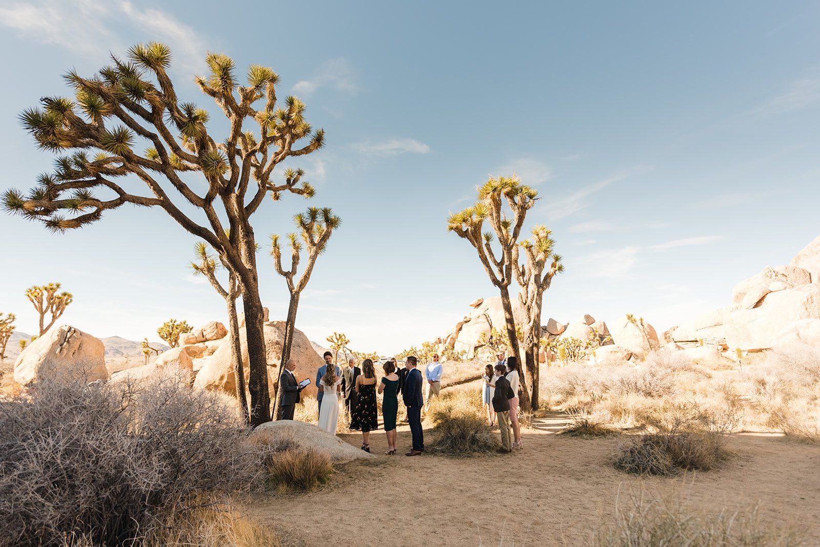 joshua tree national park desert ceremony at cap rock, Portraits Among the Cap Rock Formations