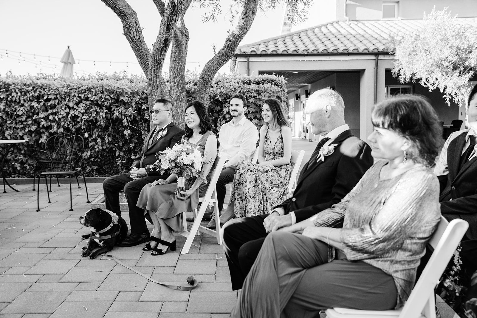 vineyard wedding at viansa in sonoma, The Ceremony in the Viansa Ivy Courtyard