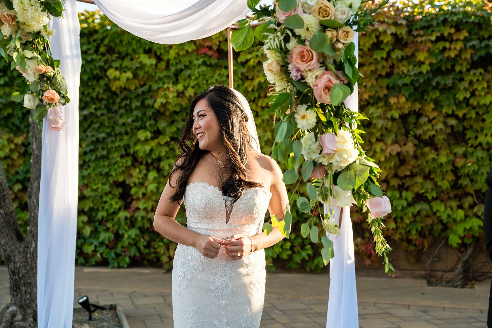 vineyard wedding with the dog as greeter at viansa sonoma, The Ivy Courtyard at Viansa